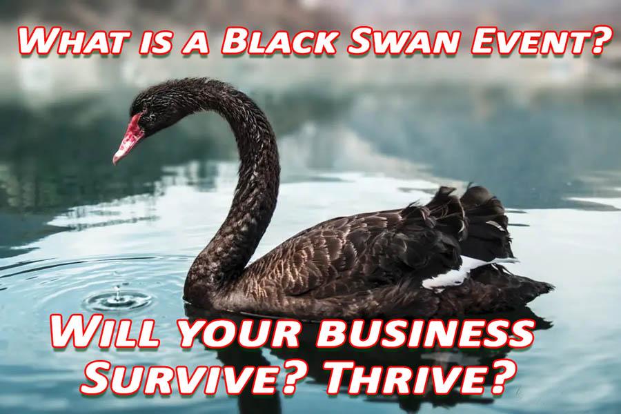what is a black swan event in business